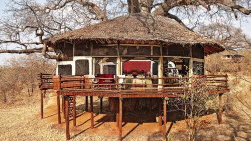 Elewana Treetops room on stilts