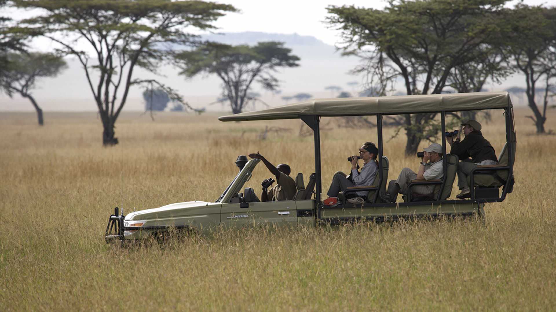 Open vehicle game drive