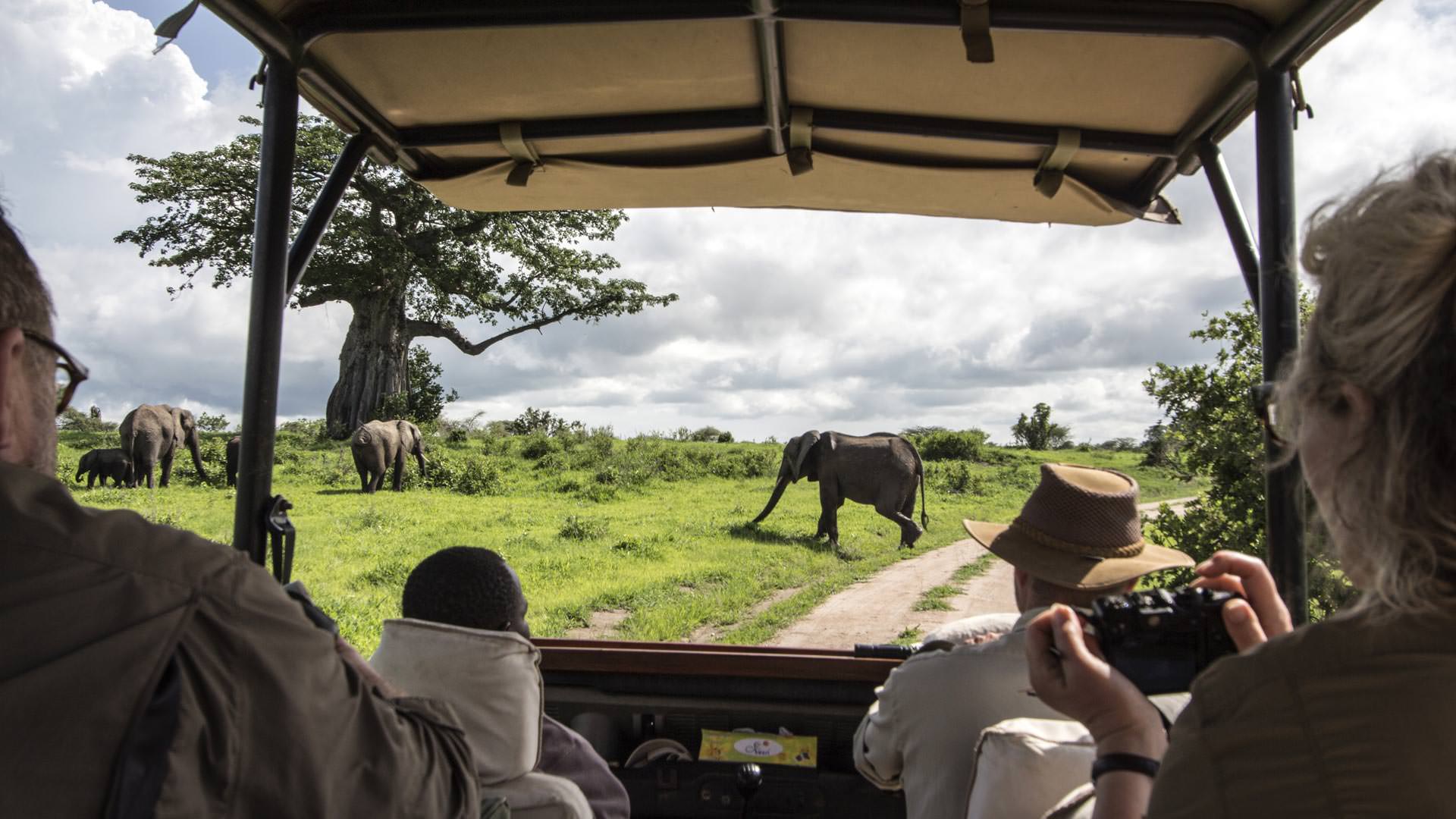 Game drive in open vehicle