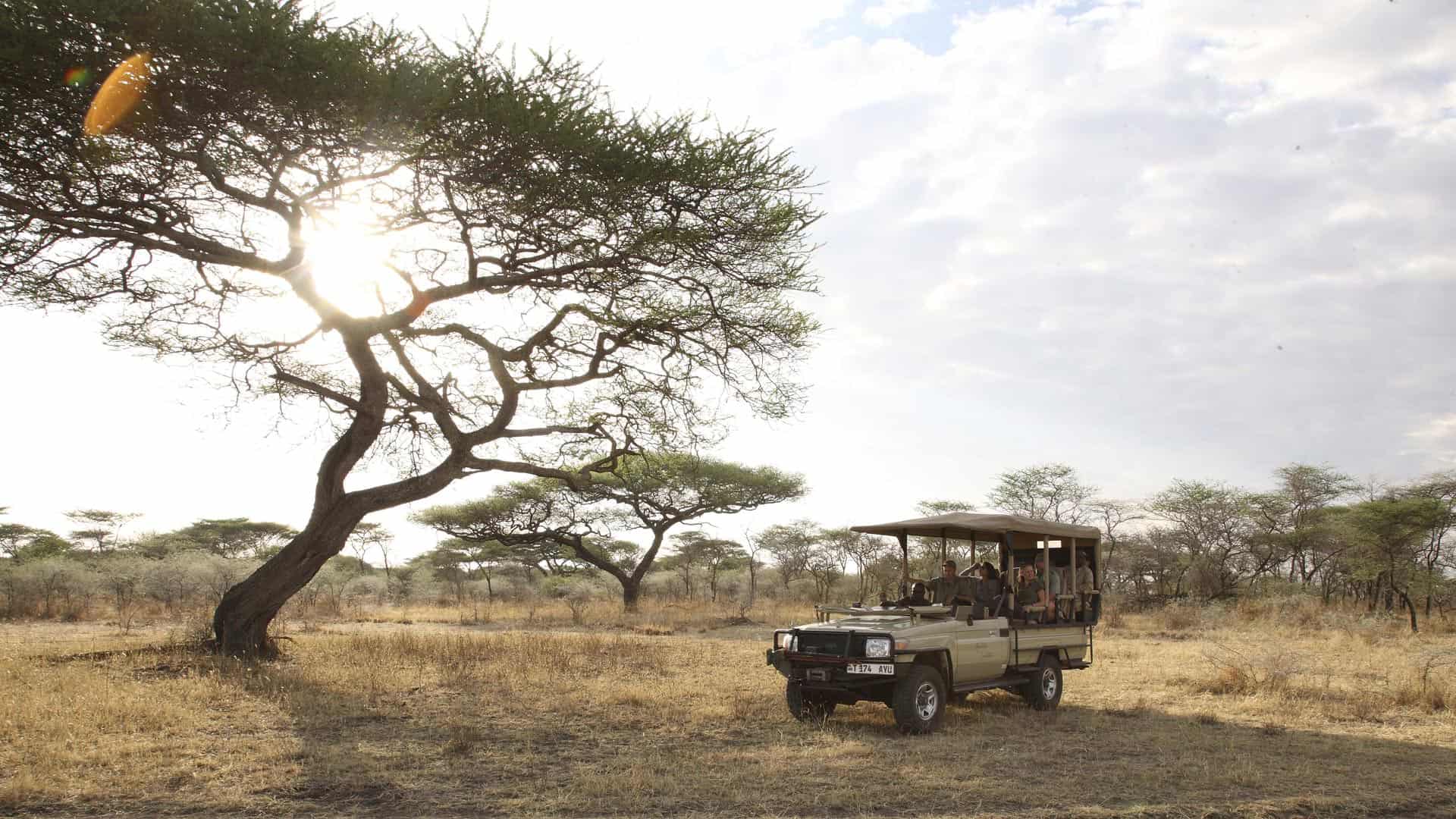 Open 4x4 in Maswa Game Reserve