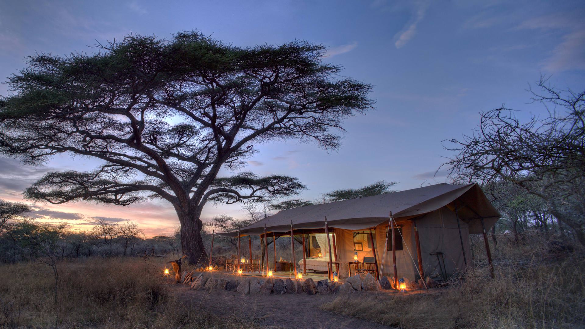 Mbono guest tent at dusk
