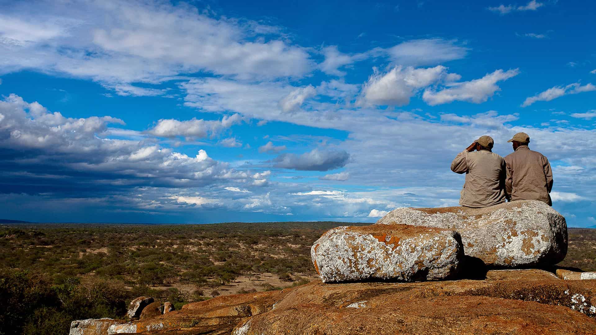 Spotting game from a rock kopje