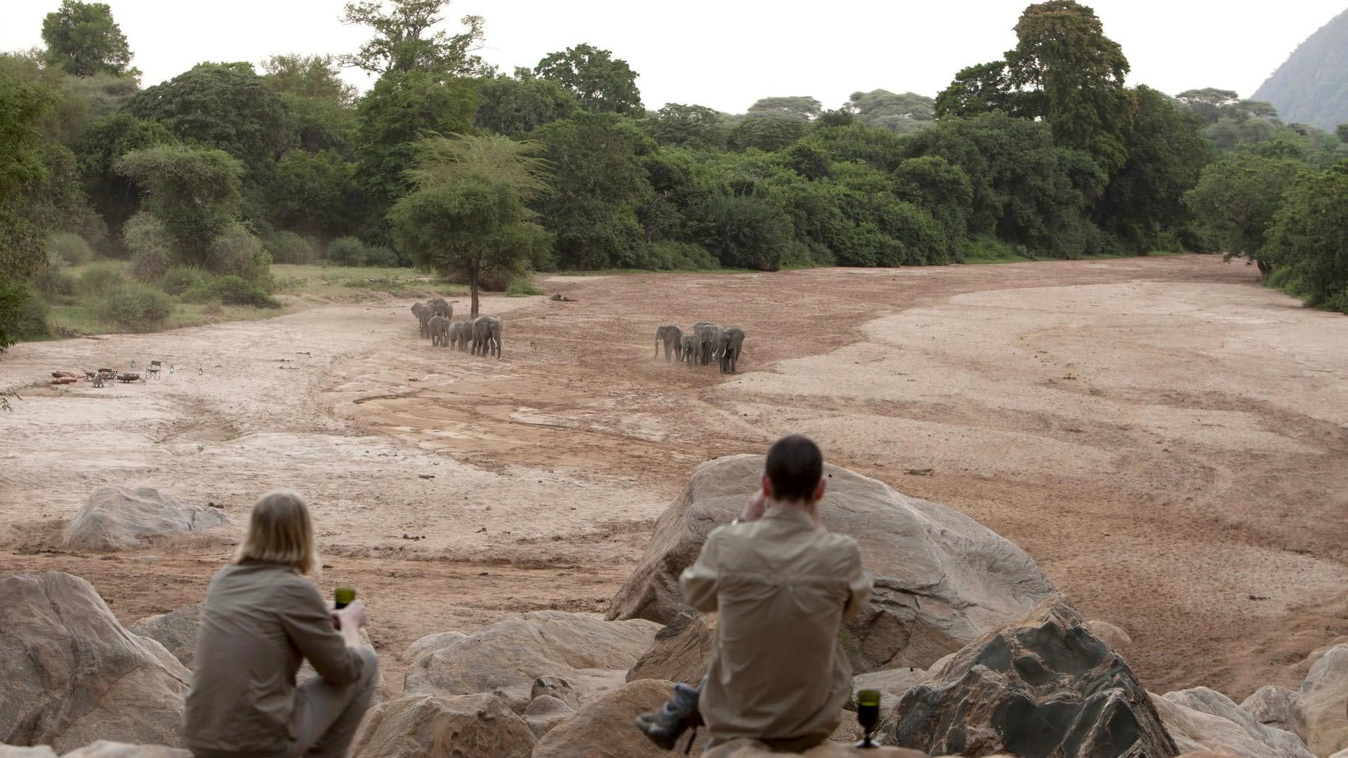 Watching elephants at Manyara Green Camp