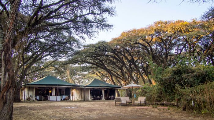 Sanctuary Ngorongoro Common Area