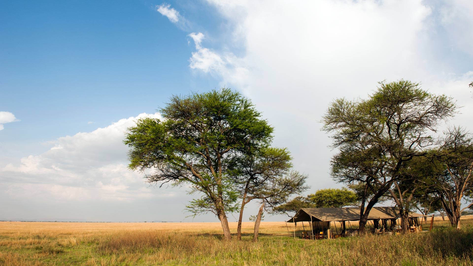 Serengeti Safari Camp Special Campsite
