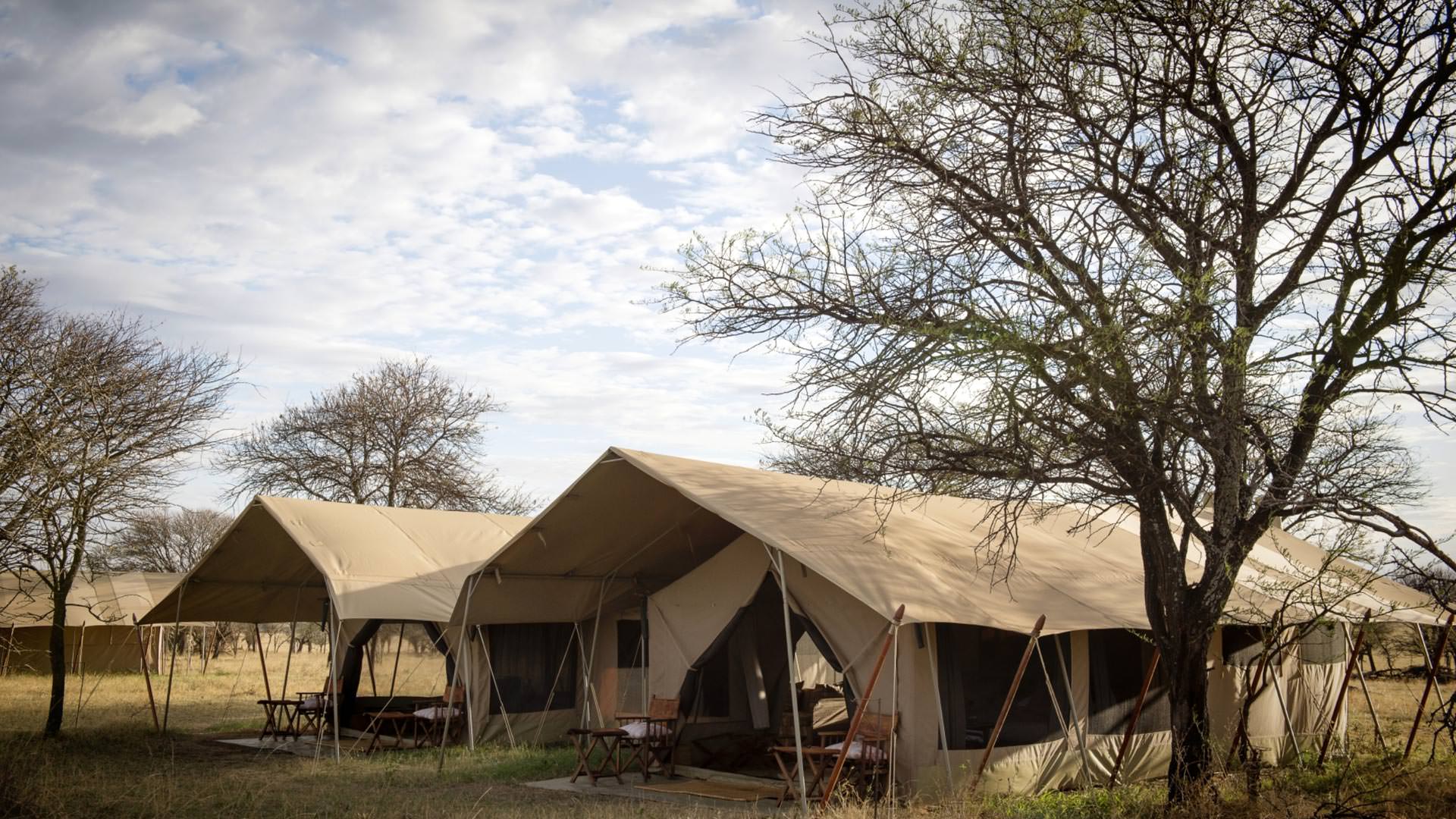 Serengeti Safari Camp Guest Tents