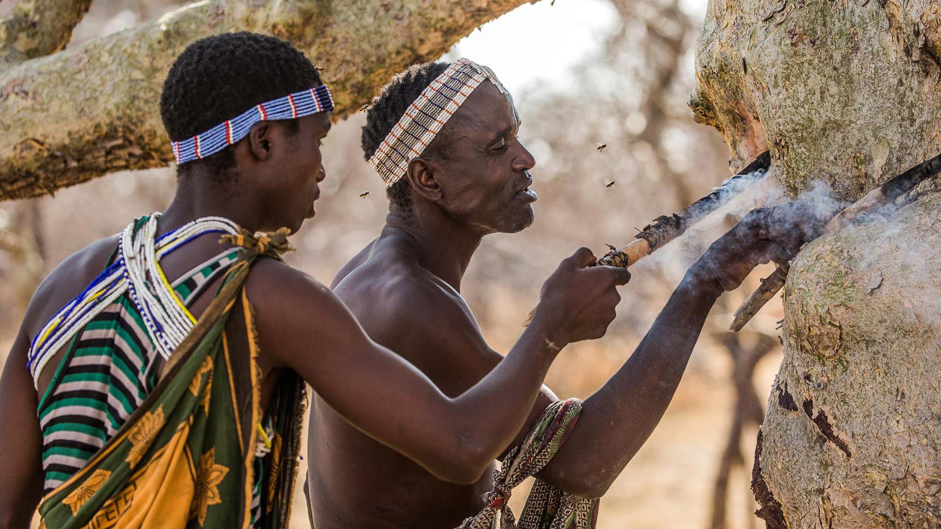 Hadza hunter gatherers in Mwiba Wildlife Reserve