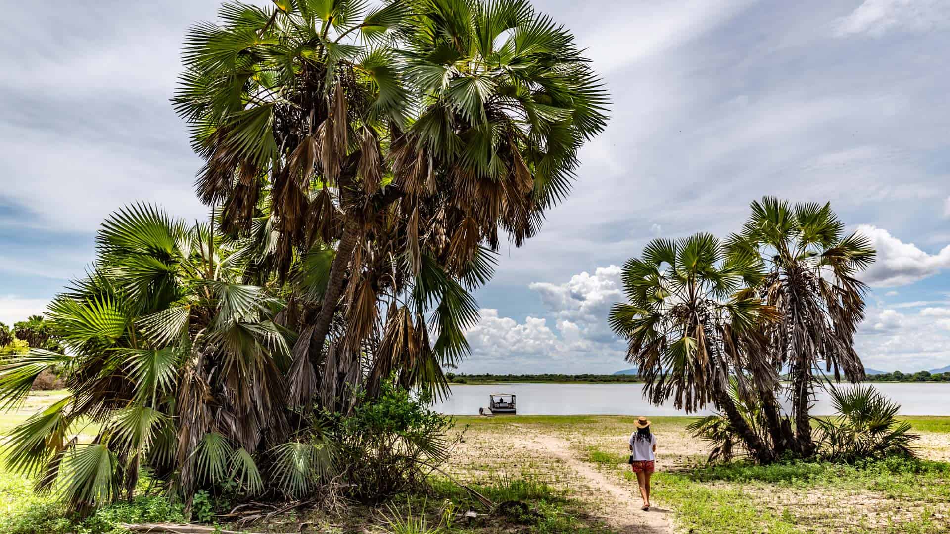 Laba Siwandu - Image 14