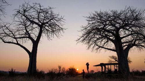 Sunset with baobabs