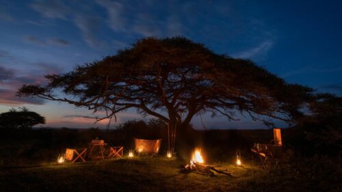 Fire and acacia tree - Serian Adventure Camping
