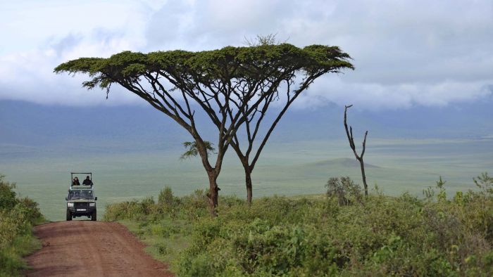 Ngorongoro Crater ascent road