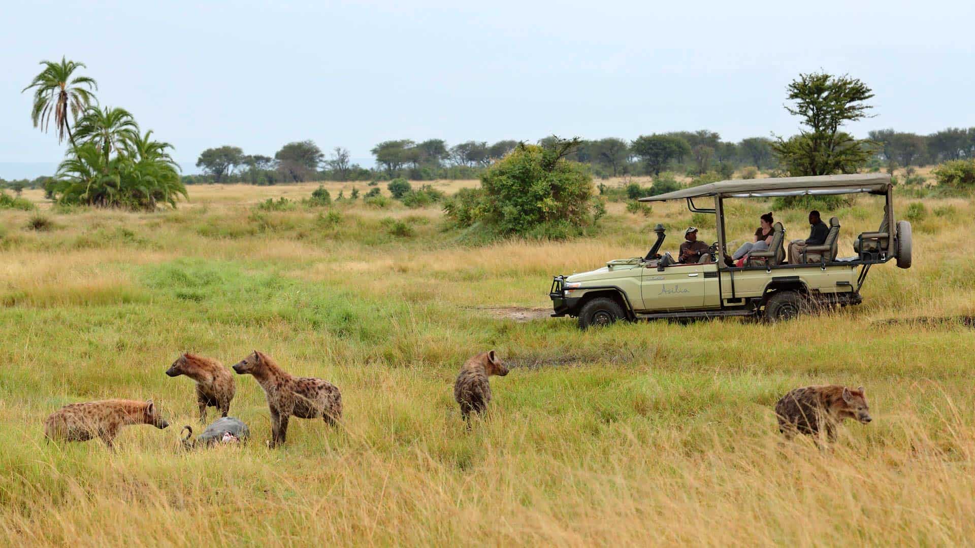 Sayari Camp Serengeti - Image 18