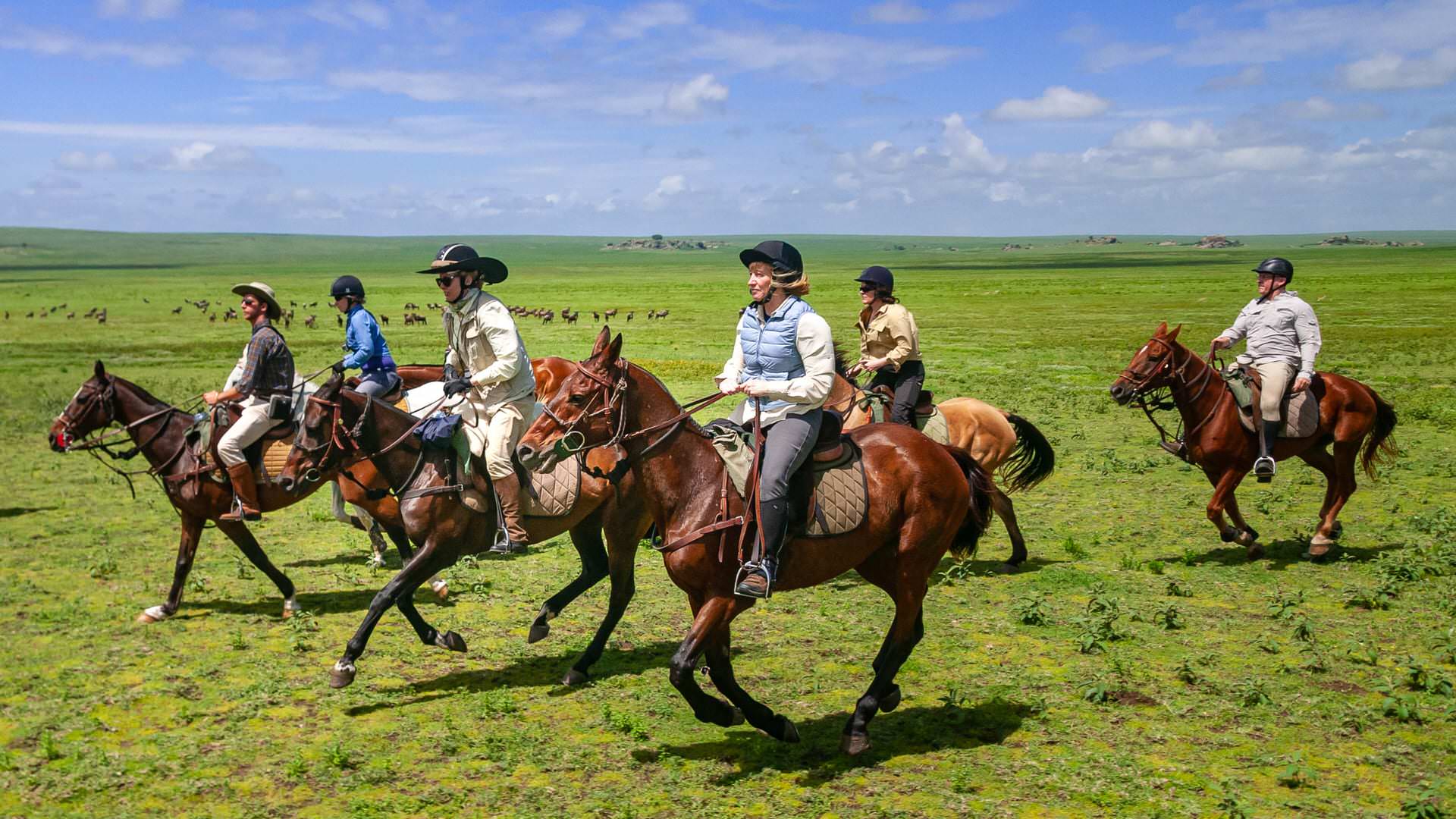 Horses and riders with Wildebeest