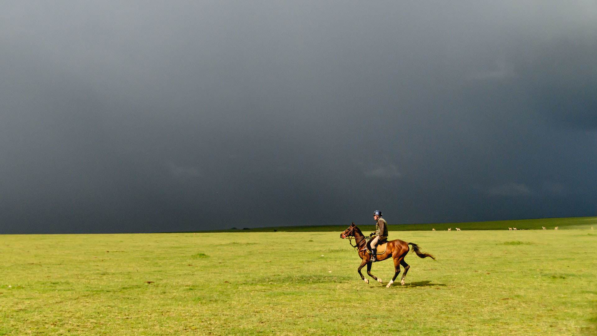 Dark skies with lone horse rider on the Serengeti Plains