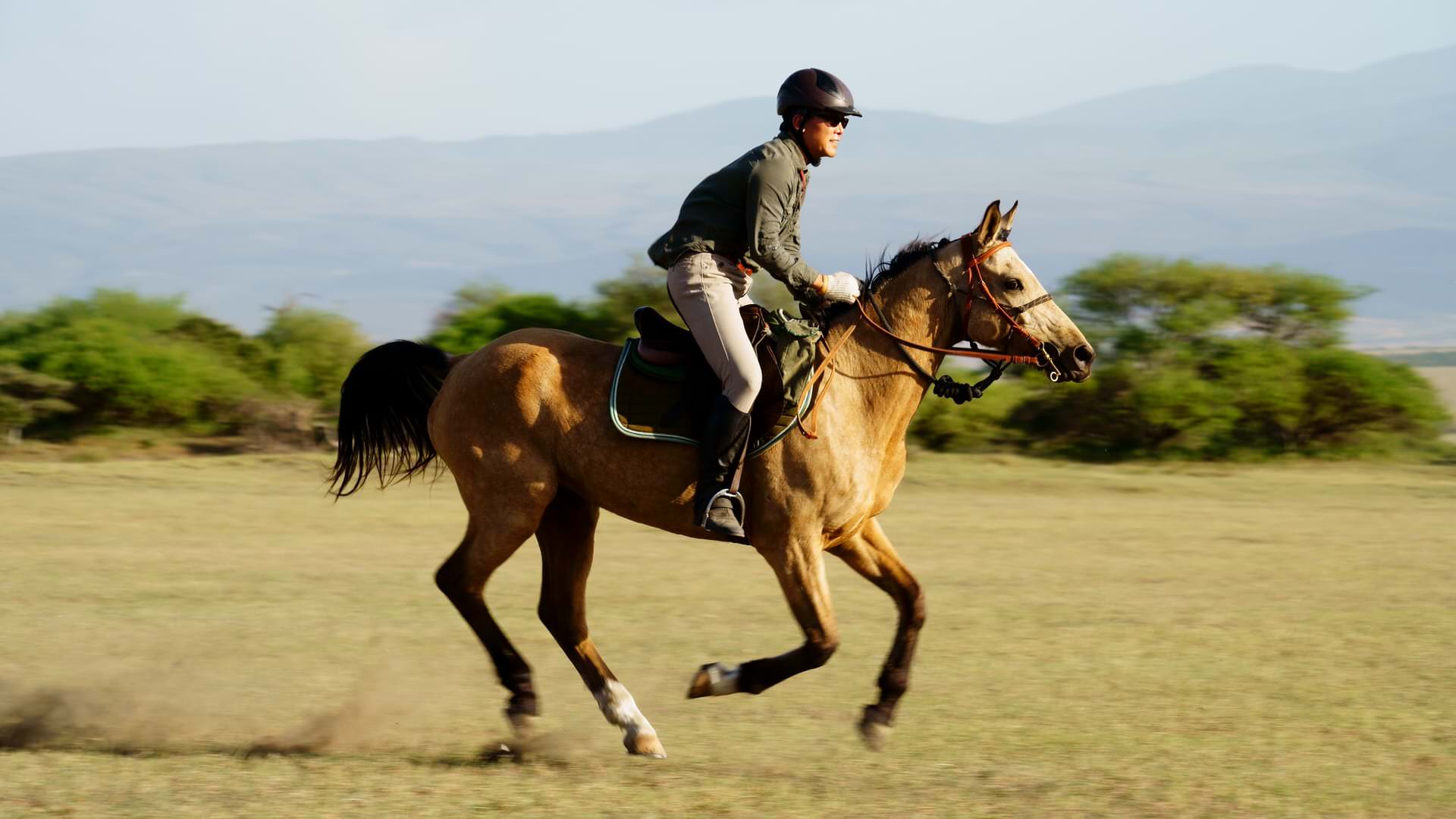 Rider and horse cantering across the Southern Serengeti plains