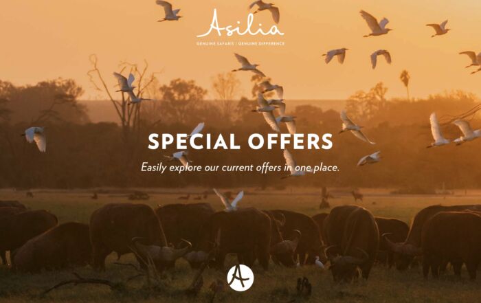 Asilia Special Offers