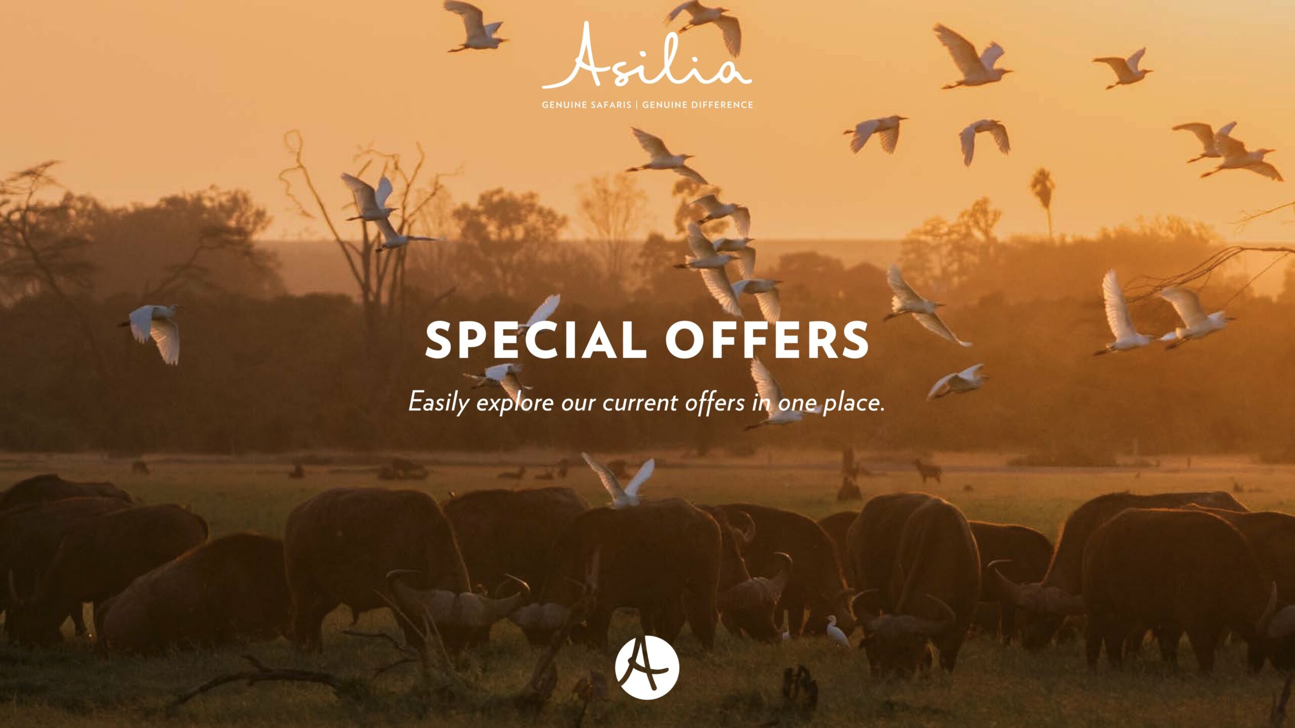 Asilia Special Offers