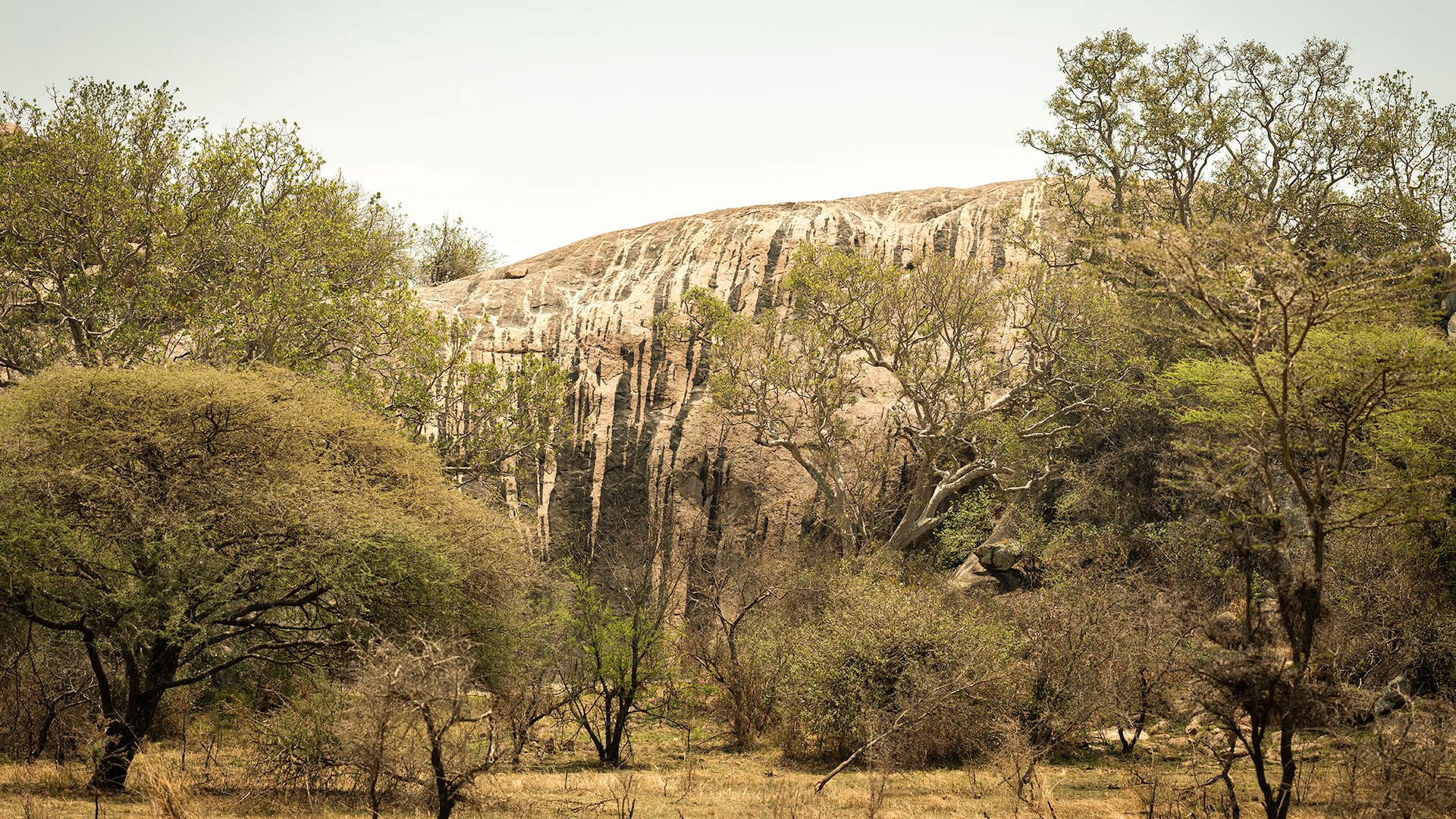 One of the Kusini Serengeti Kopjes