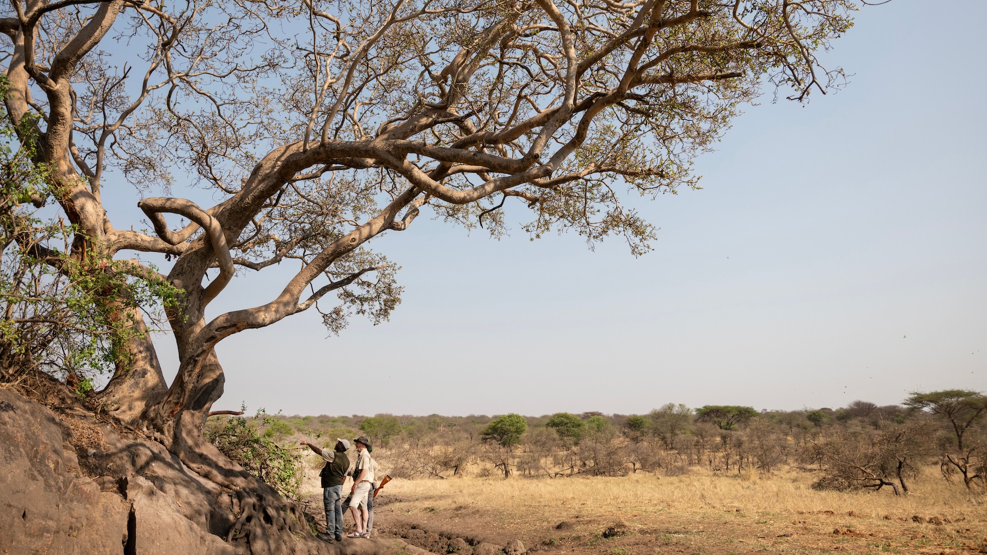 Landscape around Kusini Serengeti Camp