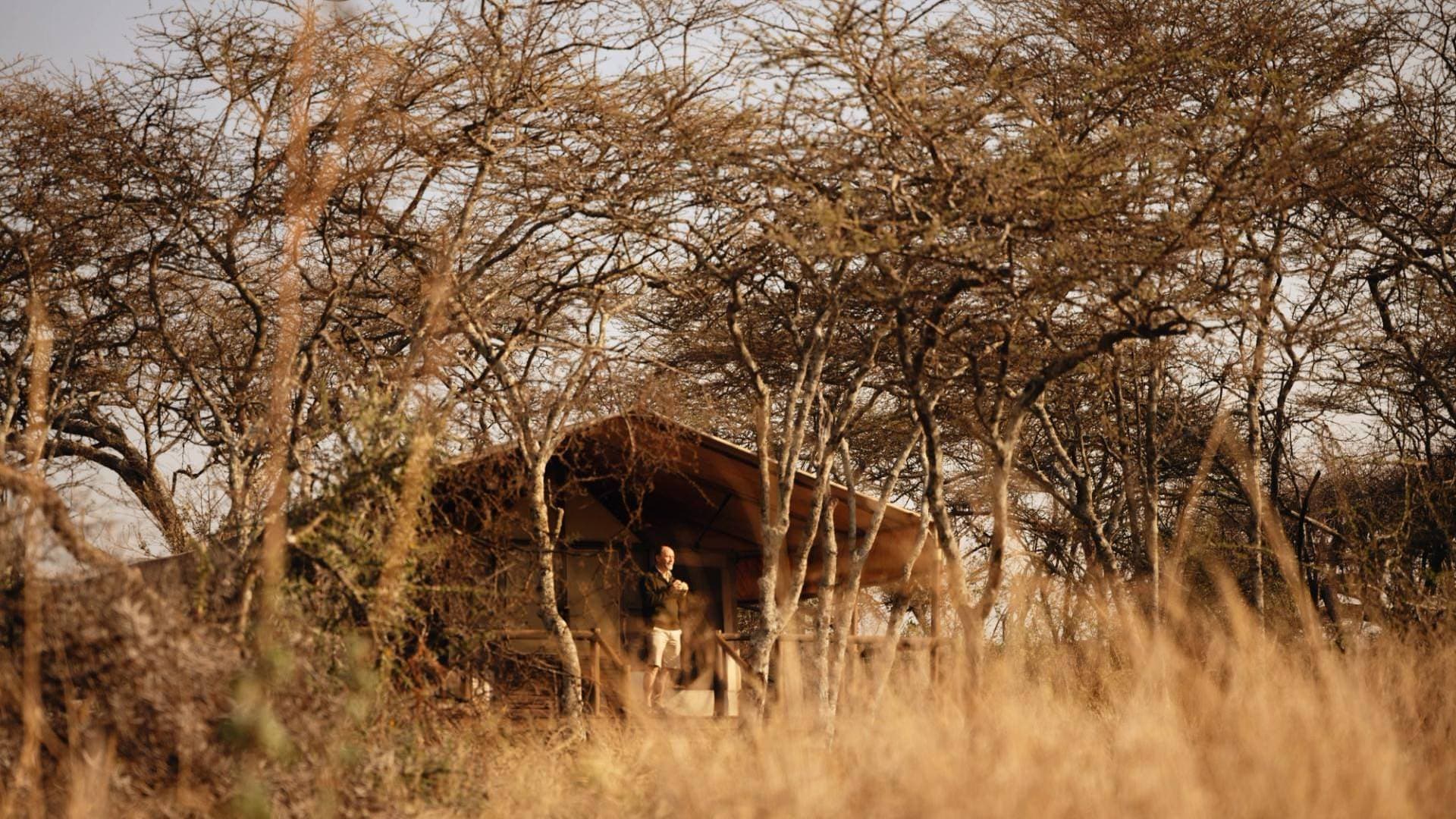 Kusini Serengeti - view of tent through the grass