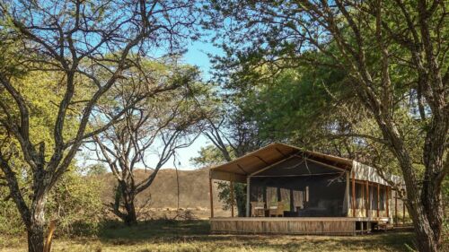 Guest Tent at Kusini Serengeti